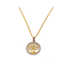 Fio C/Medalha Bicolor  C/Zircónias Ouro 19.25 Kt  COL3008